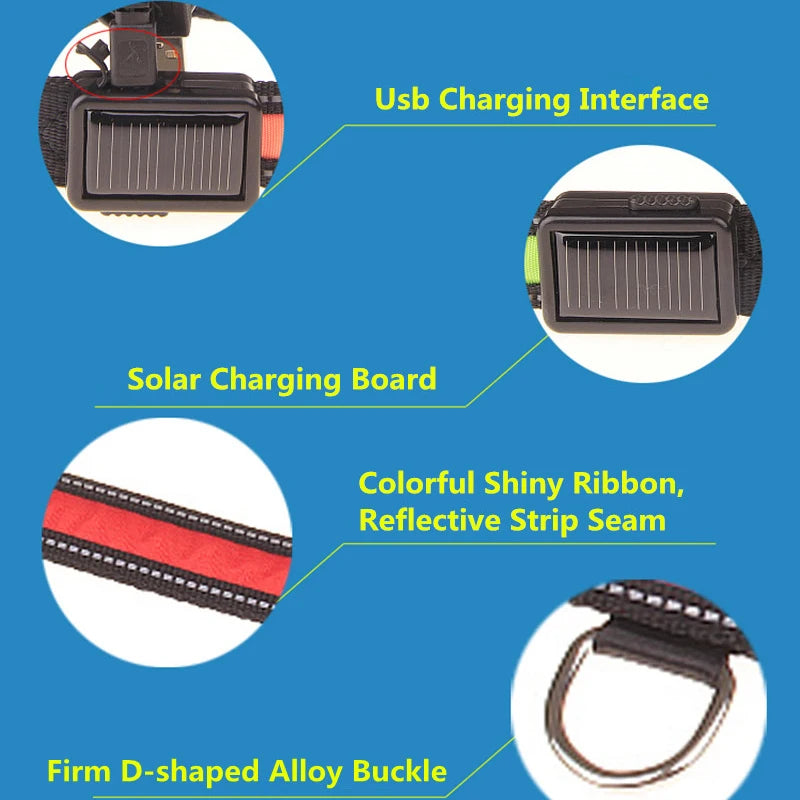 Solar and USB Rechargeable LED Dog Collar, Adjustable Night Safety