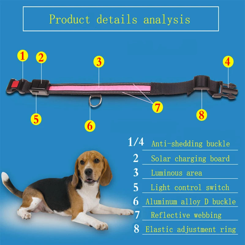 Solar and USB Rechargeable LED Dog Collar, Adjustable Night Safety