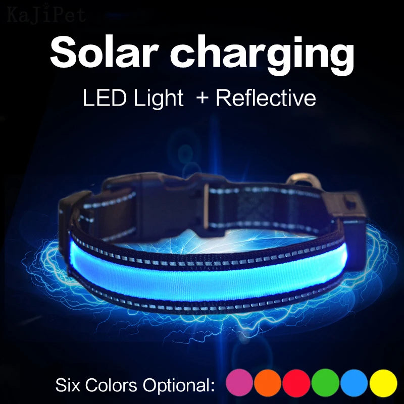 Solar and USB Rechargeable LED Dog Collar, Adjustable Night Safety