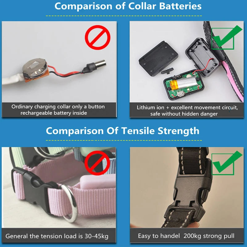 Solar and USB Rechargeable LED Dog Collar, Adjustable Night Safety