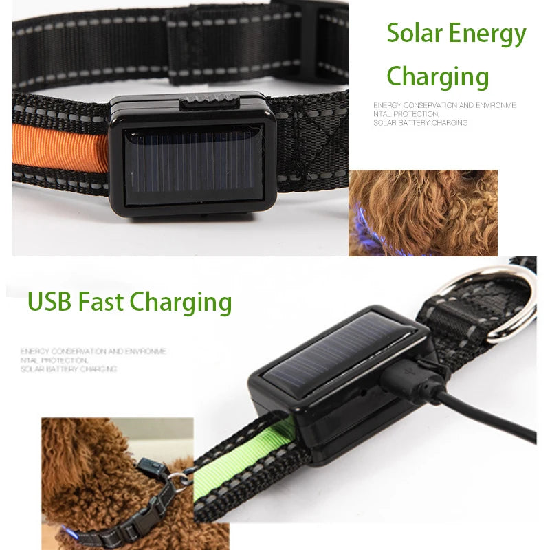 Solar and USB Rechargeable LED Dog Collar, Adjustable Night Safety