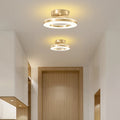 Modern LED ceiling lamp