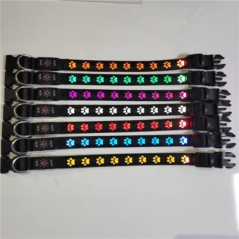 LED Light-Up Dog Collar with Paw Tag, Night Walking Warning Light