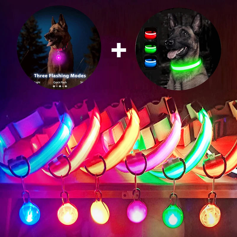 Luminous Dog Collar with Detachable LED Pendant for Small Dogs