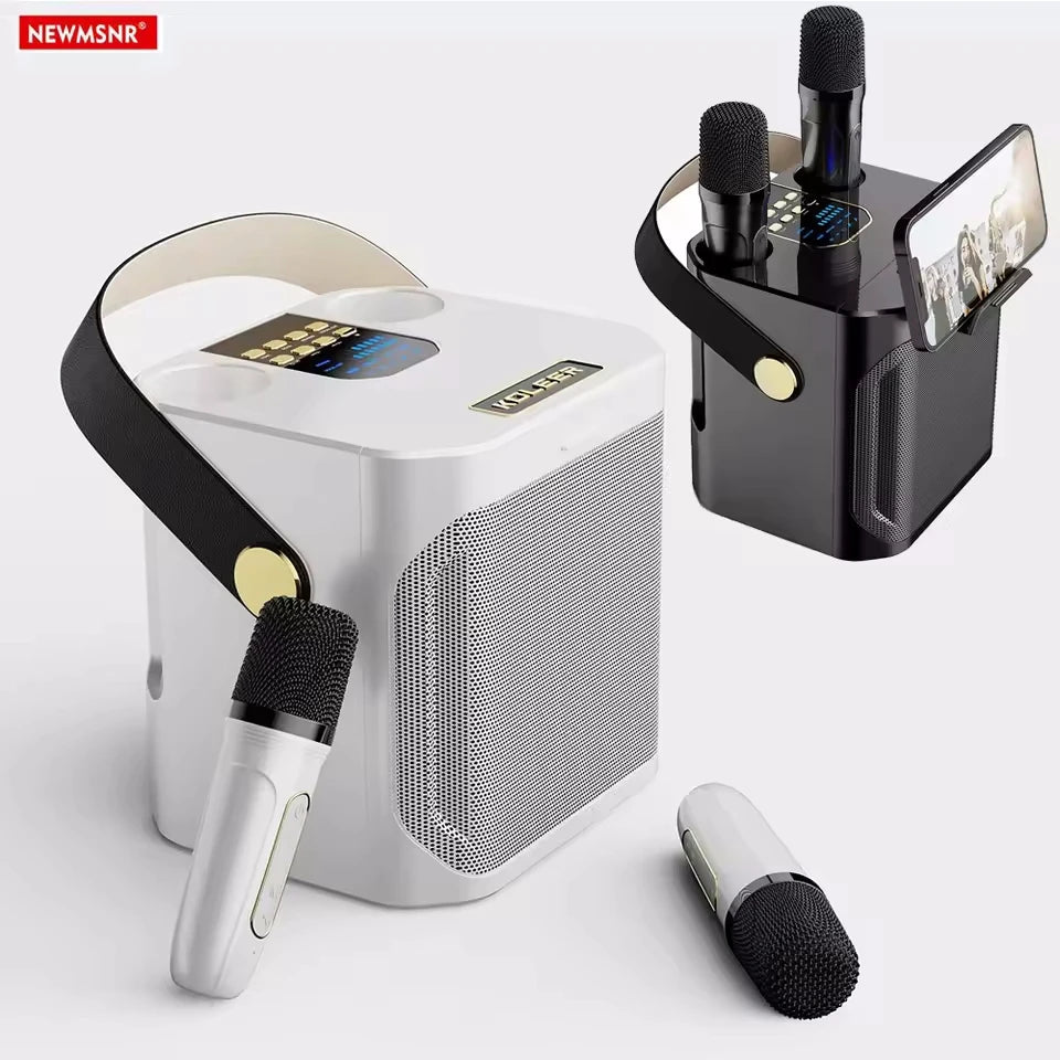 Portable karaoke Bluetooth speaker with subwoofer