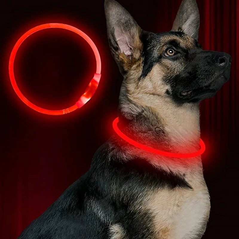 USB Rechargeable LED Dog Collar, Night Safety Flashing Glow