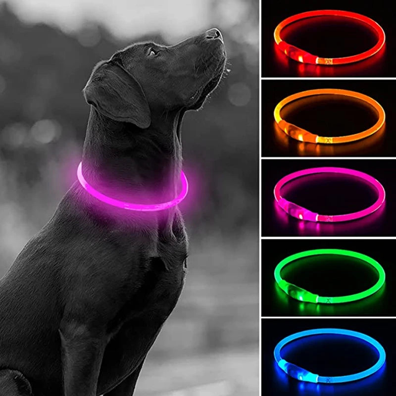 USB Rechargeable LED Dog Collar, Night Safety Flashing Glow