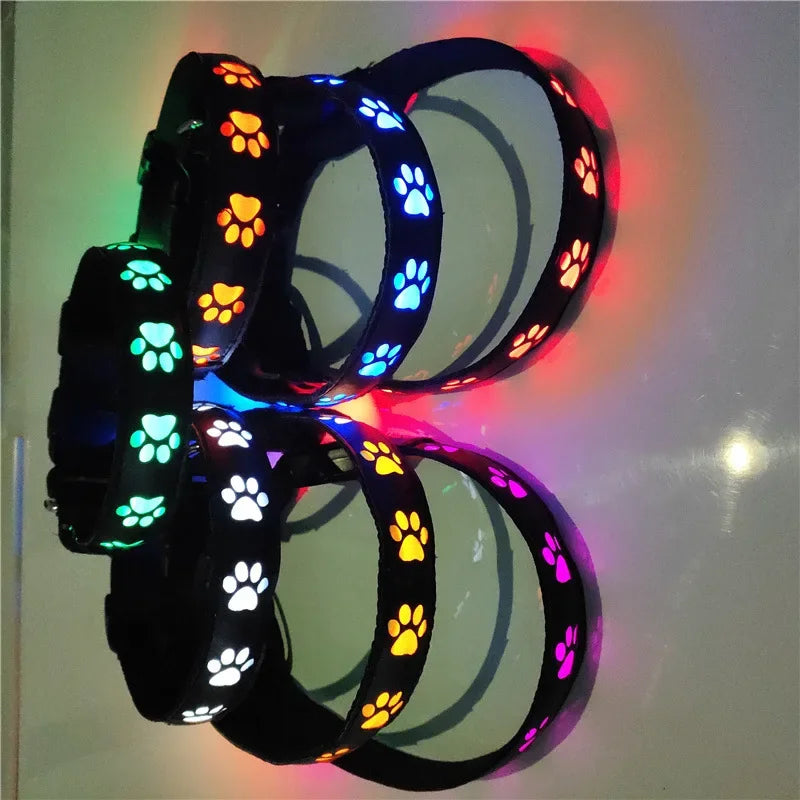 LED Light-Up Dog Collar with Paw Tag, Night Walking Warning Light