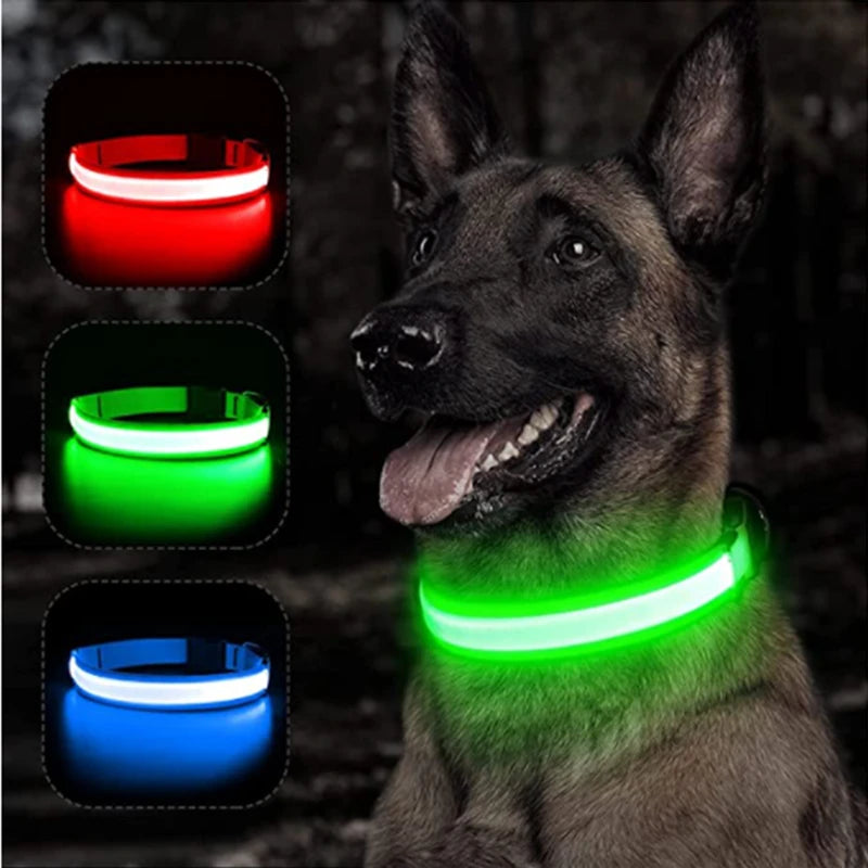 Luminous Dog Collar with Detachable LED Pendant for Small Dogs