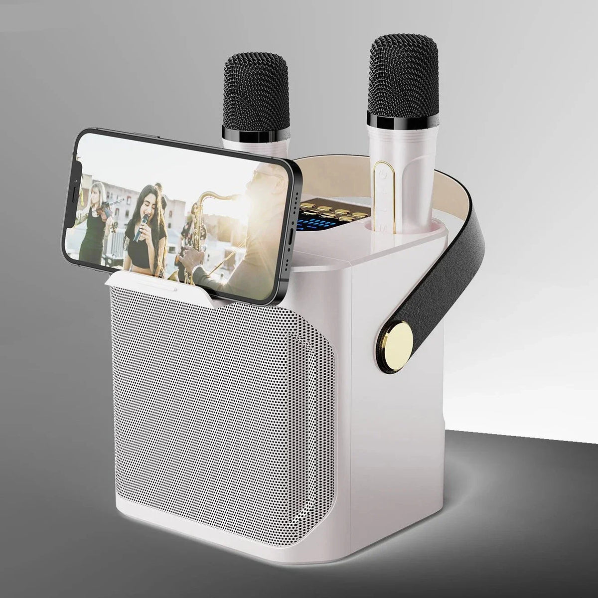 Portable Karaoke Bluetooth Speaker with Subwoofer and Microphone