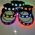 LED Light-Up Dog Collar with Paw Tag, Night Walking Warning Light