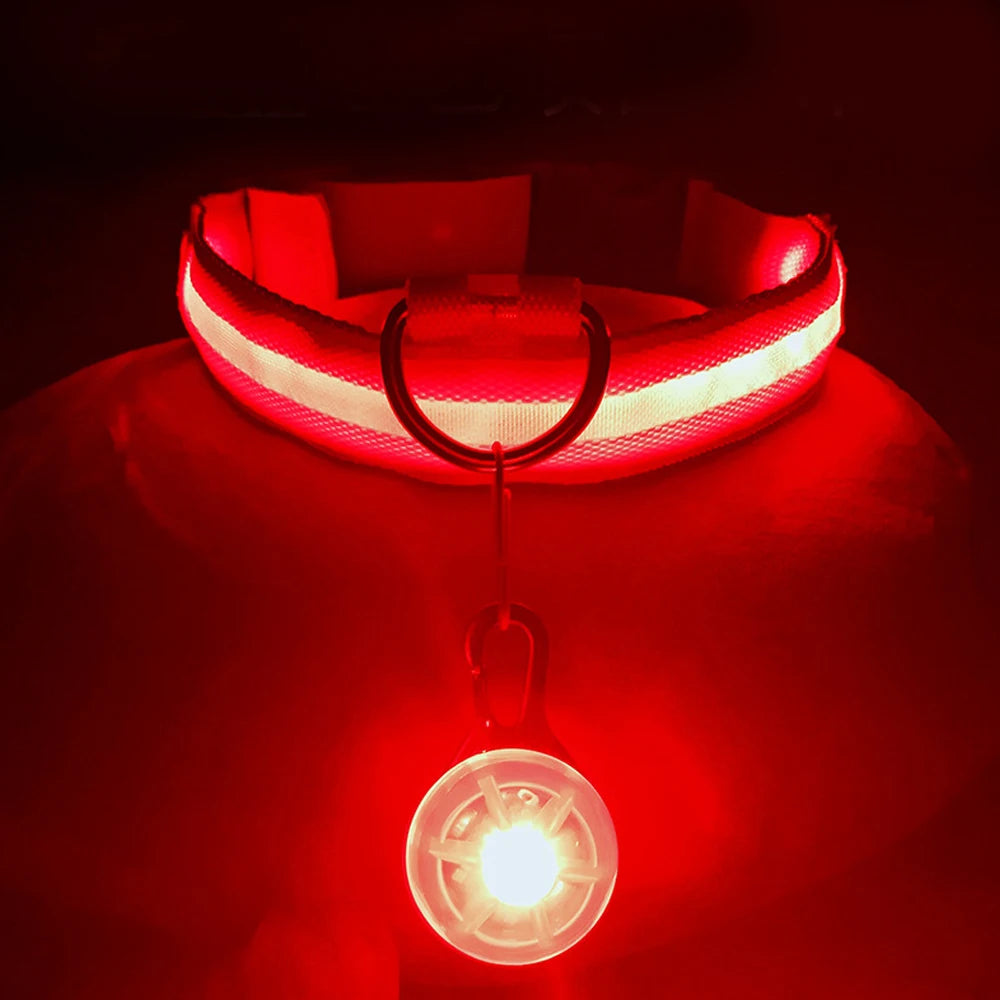 Luminous Dog Collar with Detachable LED Pendant for Small Dogs