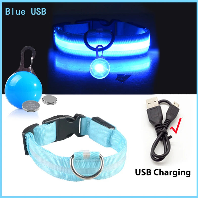 Luminous Dog Collar with Detachable LED Pendant for Small Dogs