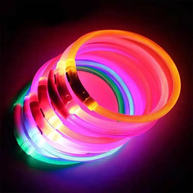 USB Rechargeable LED Dog Collar, Night Safety Flashing Glow