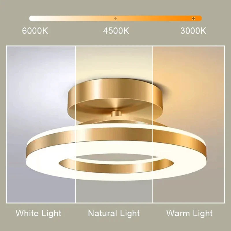 Modern LED Ceiling Lamp for Bedroom and Dining Table