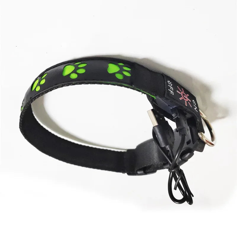 LED Light-Up Dog Collar with Paw Tag, Night Walking Warning Light