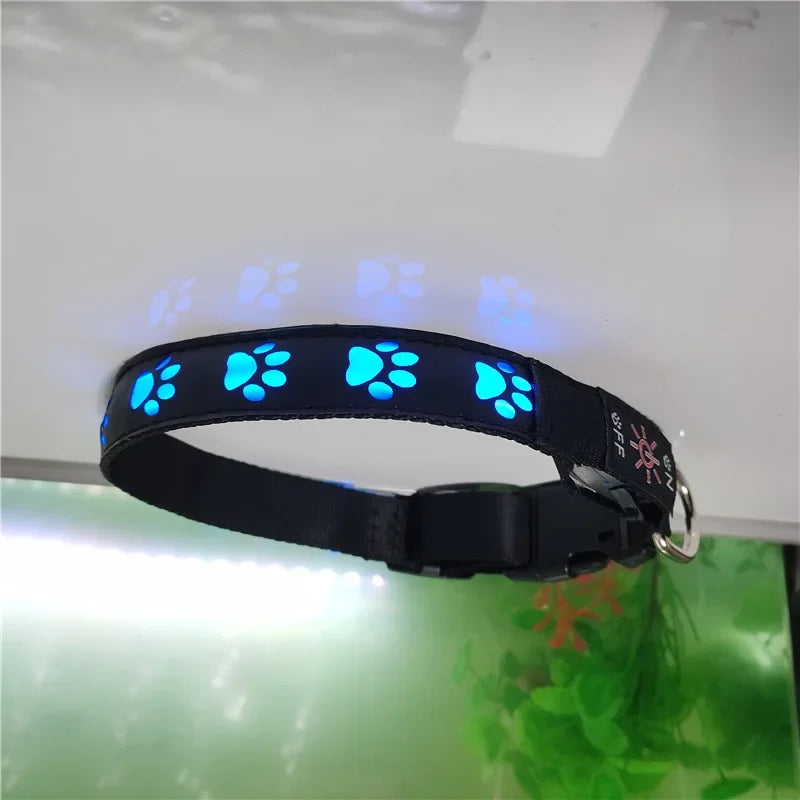 LED Light-Up Dog Collar with Paw Tag, Night Walking Warning Light